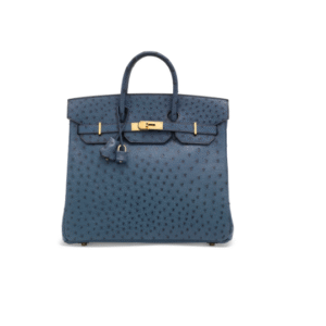 A BLEU ROI OSTRICH HAC BIRKIN 32 WITH GOLD HARDWARE