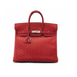 A ROUGE VIF OSTRICH HAC BIRKIN 32 WITH PALLADIUM HARDWARE